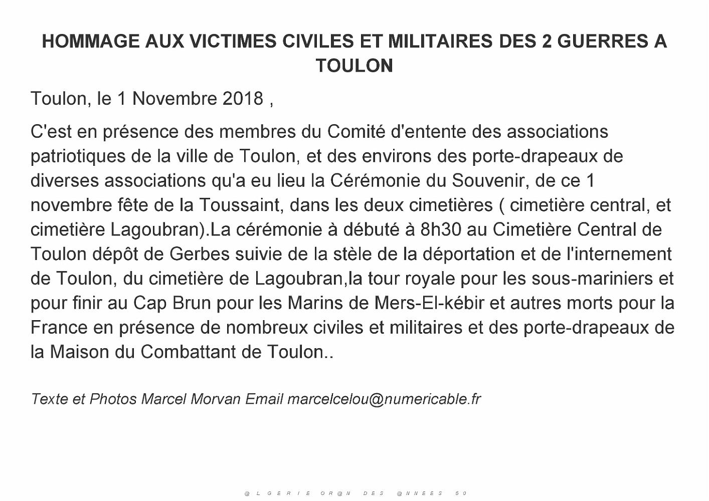 2018 11 01 TOULON HOMMAGE AUX VICTIMES CIVILES ET MILITAIRES DES 2 GUERRES (0).jpg